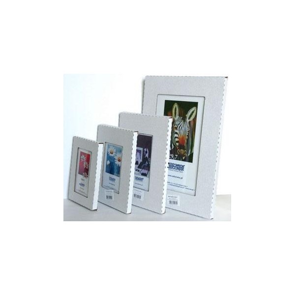 Antyramy  z pleksi  40cm na 50cm