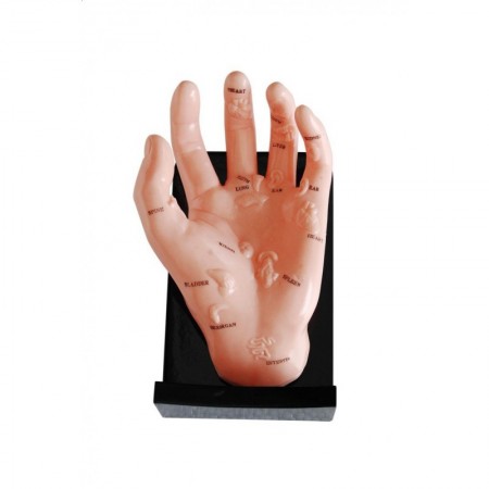 Model ręki z ważnymi punktami akupunktura
