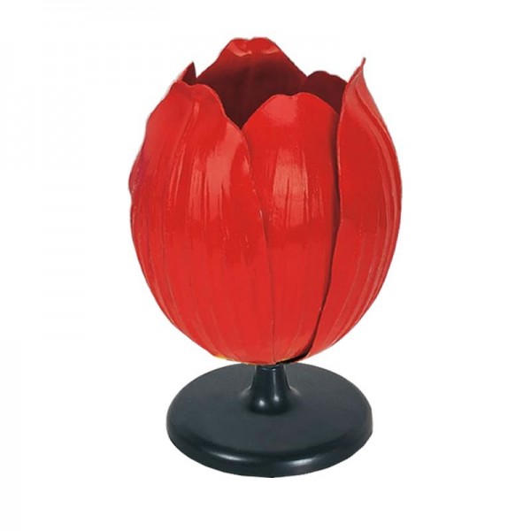 Model kwiatu tulipana