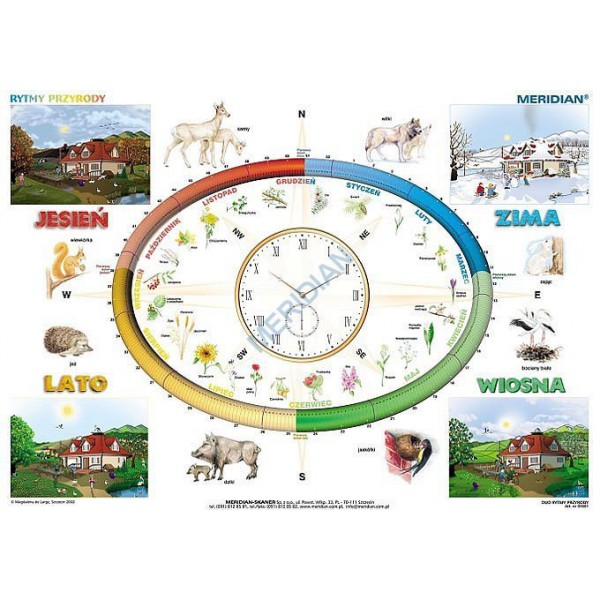 Rytmy przyrody plansza 160x120 cm