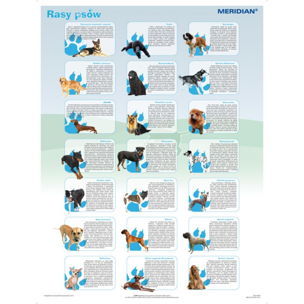 Rasy psów plansza 90x120 cm