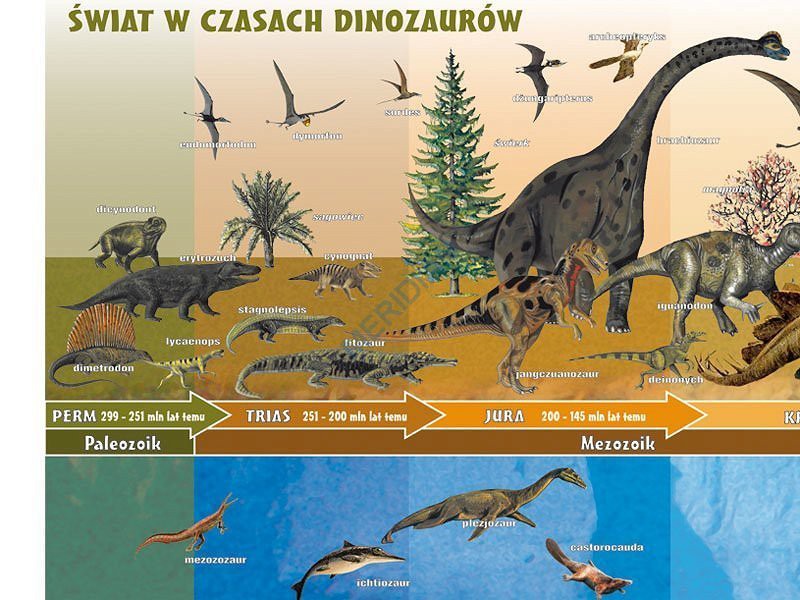 Ewolucja dinozaurów świat w czasach wielkich gadów plansza 160x120 cm