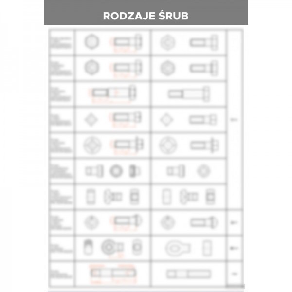 Rodzaje śrub plansza