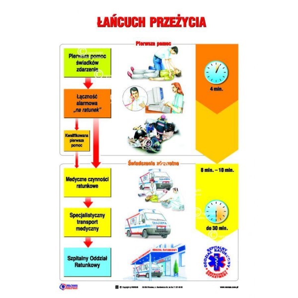 Łańcuch przeżycia plansza 100x140 cm