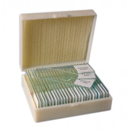 BEZKREGOWCE ZESTAW 25 SZT PREPARATÓW