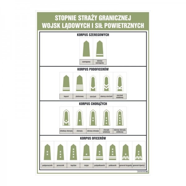 Stopnie straży granicznej - wojsk lądowych i sił powietrznych plansza