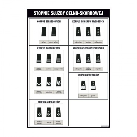 Stopnie służby celno-skarbowej plansza