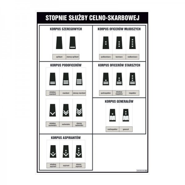 Stopnie służby celno-skarbowej plansza