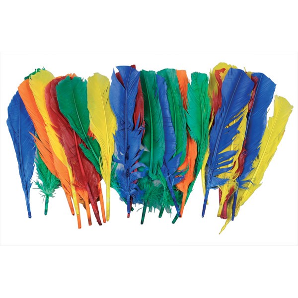 Pióra indiańskie 30 cm 25 sztuk