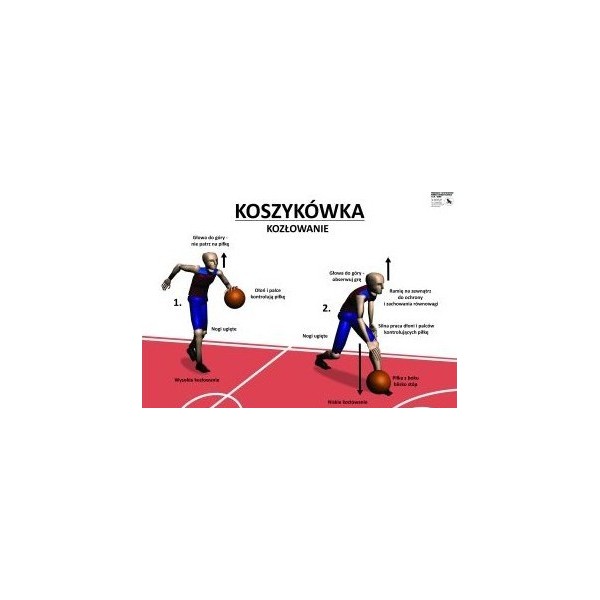 Plansze Podstawy gry w Koszykówke 5 szt do wyboru