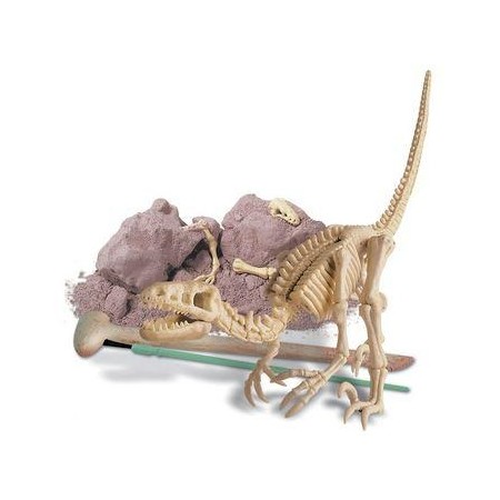 Wykopaliska Velociraptor