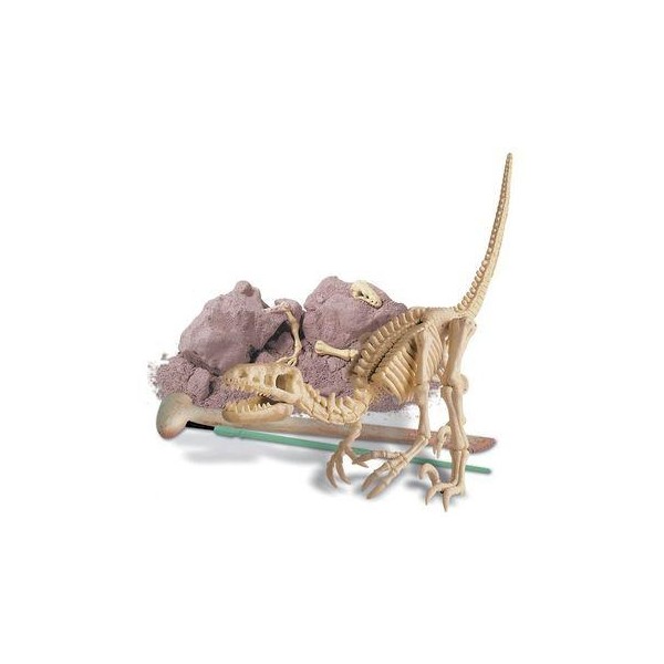 Wykopaliska Velociraptor
