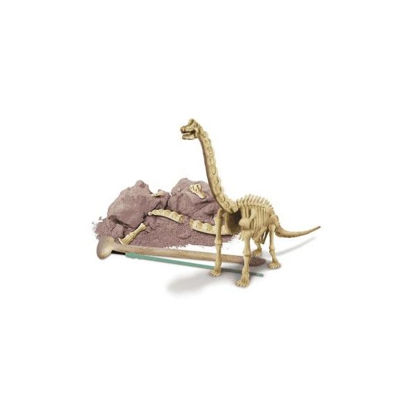 Wykopaliska Brachiosaurus