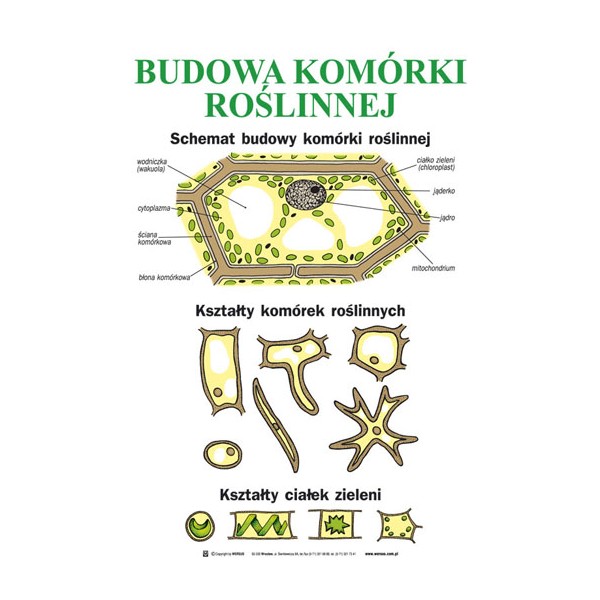Botanika część I 20 plansz