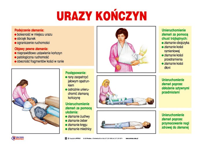Pierwsza pomoc 21 plansz - Pierwsza pomoc plansze - Szkoła Marzeń