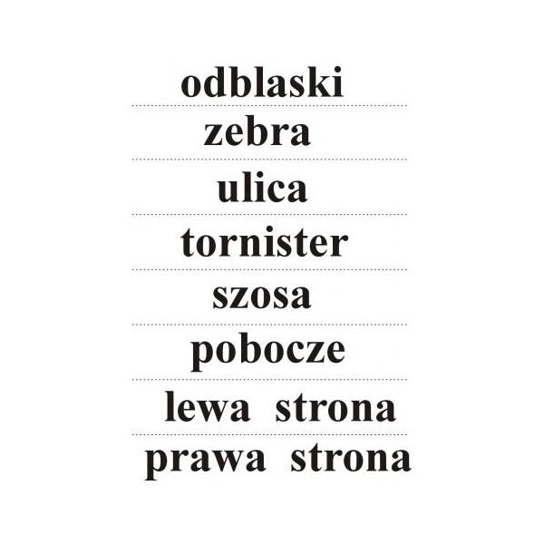 Bezpieczne dziecko plansze A3 karty pracy + płyta CD