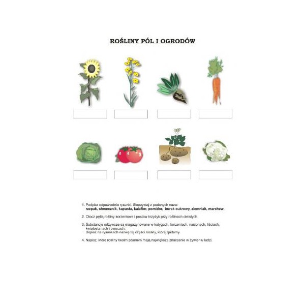 Przyroda Zestaw plansz w wersji drukowanej + program CD