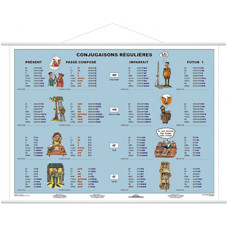 Conjugaisons Regulieres